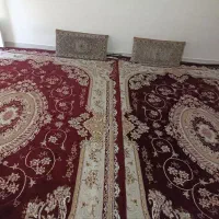 فرش نو برای استفاده برای باغ و خانه