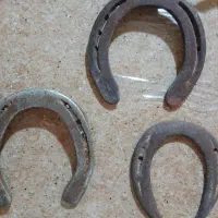 نعل اسب