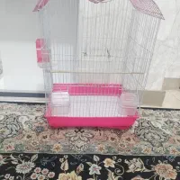 قفس پرنده تر و تمیز