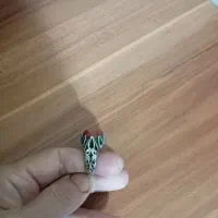 انگشتر نقره