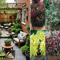 خدمات باغبانی کاشتن گل باغچه کاری تعویض خاک گلدون|خدمات باغبانی و درختکاری|پردیس, شهرک صنعتی خرمدشت فاز ۷|دیوار