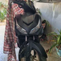 نخل تقی عسلویه