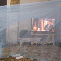 پشه بند بزرگ