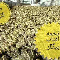 تخمه آفتابگردان خارجی|خوردنی و آشامیدنی|کرج, برغان|دیوار