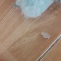 لبوبو اصل|اسباببازی|سبزوار, شهرک اندیشه|دیوار