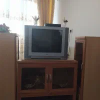 تلویزیون   در حد نو ال جی