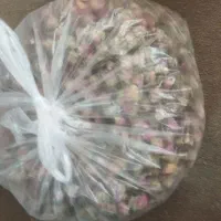 غنچه گل محمدی همراه پر