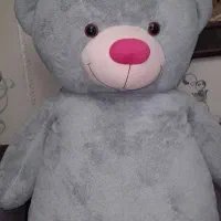 خِرس شاسخین|اسباببازی|رشت, گلسار|دیوار