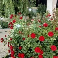 کرایه-باغ-جشن-تولد-دورهمی