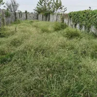 زمین سند دار دور دیوار درب دروازه