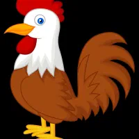 مرغ پاک کن هستم