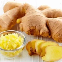 آموزش ودرامدزایی برای بانوان