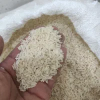 برنج هاشمی