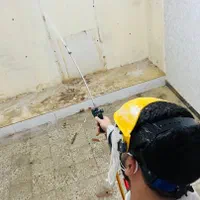 موریانه زدایی وسمپاشی اصولی باضمانت کتبی عدم برگشت|خدمات نظافت|دزفول, |دیوار