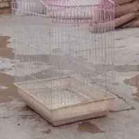 قفس پرنده سالم وخوب|لوازم جانبی حیوانات|سیب و سوران, |دیوار