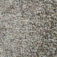 عدس|خوردنی و آشامیدنی|قیدار, |دیوار