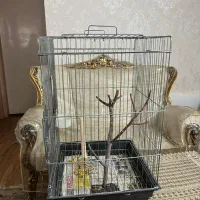 قفس بزرگ|لوازم جانبی حیوانات|تهران, اسفندیاری|دیوار