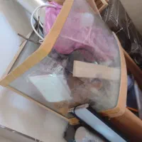 آکواریوم شیشه خم