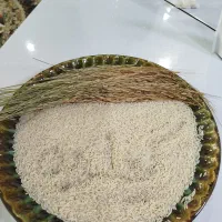 عرضه مستقیم وارسال برنج روستای گیلده آستانه اشرفیه|خوردنی و آشامیدنی|آستانه اشرفیه, |دیوار