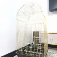 قفس طلایی نو بزرگ آرا کاکادو کاسکو شاه طوطی ملنگو