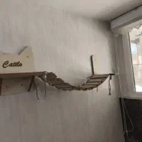 پل معلق گربه