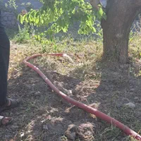باغ فروشی حدودا ۵۰۰ متر|فروش دفتر صنعتی، کشاورزی، تجاری|مشهد, رباط طرق|دیوار
