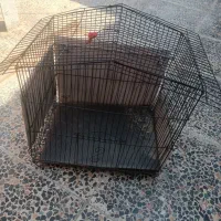 قفس پرنده