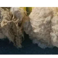 پشم گوسفند امسال