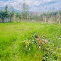850-متر-زمین-مسکونی-6-دانگ-شیرود