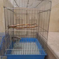 قفس|لوازم جانبی حیوانات|سمنان, |دیوار