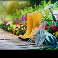 باغبانی،طراحی و اجرای فضای سبز|خدمات باغبانی و درختکاری|شفت, |دیوار