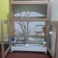 قفس پرنده دست ساز بزرگ|لوازم جانبی حیوانات|اهواز, کوی سعدی|دیوار