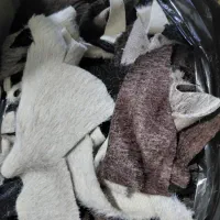 تیکه پارچه