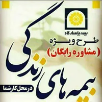 بیمه زندگی زنان خانه‌دار و تامین آتیه فرزندان|فعالیت داوطلبانه|شاهین‌شهر, خانه کارگر|دیوار