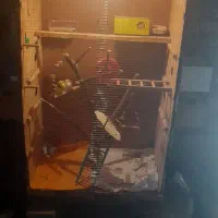 فروش قفس