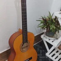 گیتار نو