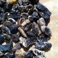 باسلام با کیفیت و مناسب تراش