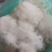 پشم گوسفندی بهاره و پاییزه|رختخواب، بالش، پتو|احمدسرگوراب, |دیوار