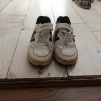 کتانی یک بار استفاده شده