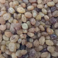 کشمش آفتابی و طلایی|خوردنی و آشامیدنی|قزوین, |دیوار