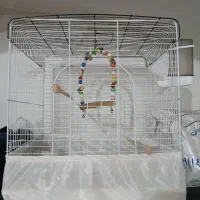 قفس پرنده|لوازم جانبی حیوانات|طبس, |دیوار