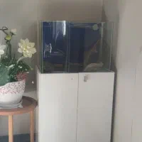 اکواریوم اب شور و آب شیرین|ماهی|قشم, |دیوار