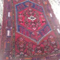 قالی دست بافت|فرش|قیدار, |دیوار