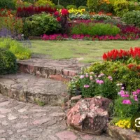 کلیه کارهای باغبانی