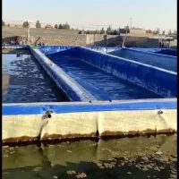 اجاره استخر پرورش ماهی آب شور|اجارهٔ دفتر صنعتی، کشاورزی، تجاری|اصفهان, قهاب جنوبی|دیوار