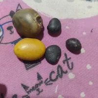سنگ الماس و شهاب سنگ
