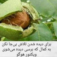 لطفاً رهنمایی کنید