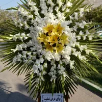 تاج گل مراسم ترحیم  و افتتاحیه قیمت منصفانه|گل و گیاه طبیعی|لاهیجان, امیرشهید|دیوار