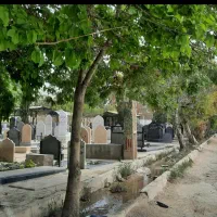 زمین-قبردر-دارحمه-شیراز-خیابان-گلزار