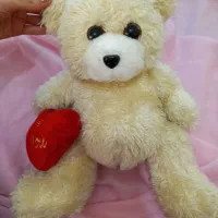 فروش فوری تعدادی عروسک خرس|اسباب‌‌بازی|تنکابن, |دیوار